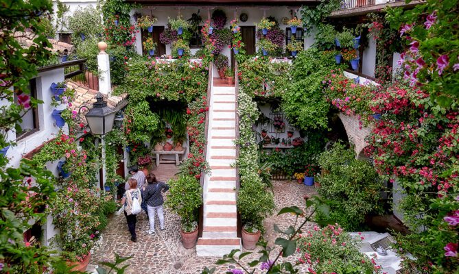 Descubriendo los encantadores patios de Córdoba - Baex Rentals