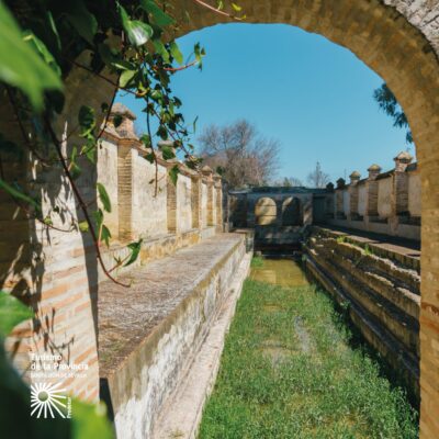 Fuente de los Borricos La Luisiana Baños Romanos