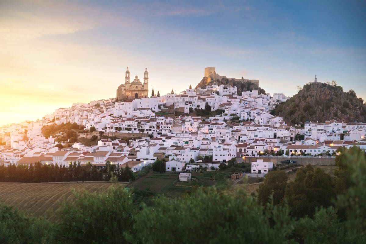 Olvera